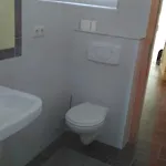 奥尔加膳食公寓酒店 招待所 3*
