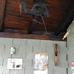 奥尔加膳食公寓酒店 招待所 3*