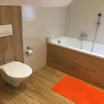 Olga Guest house