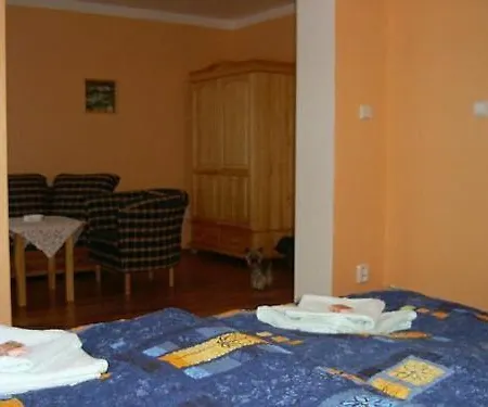 Olga Guest house 3*