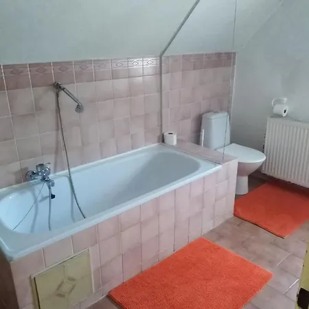 Olga 3* Marianske Lazne