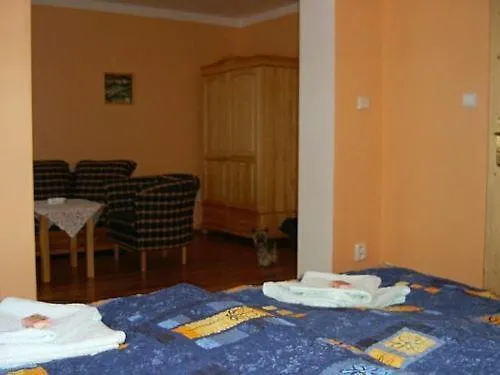 Olga Guest house 3*