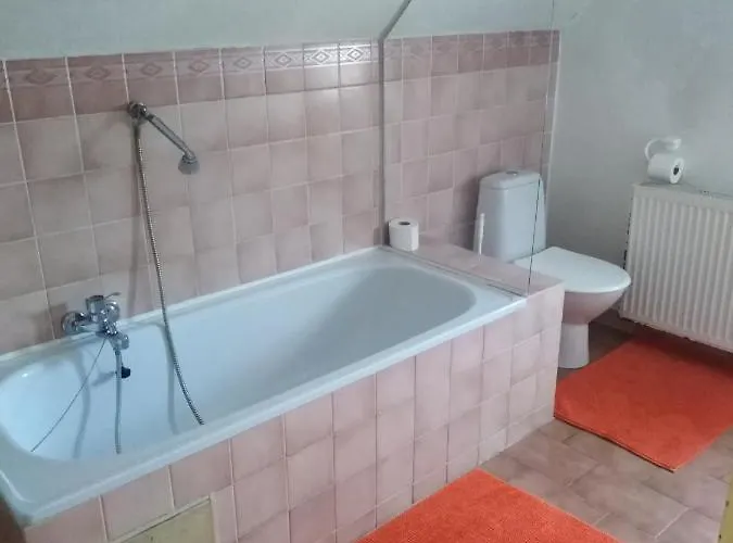 Olga 3* Marianske Lazne