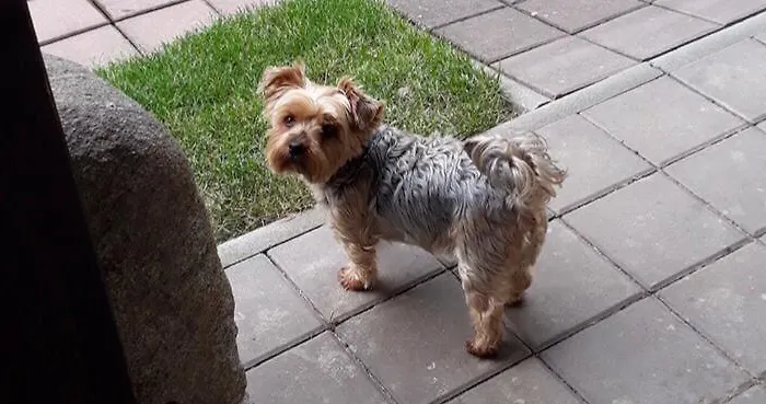 Olga 3* Marianske Lazne